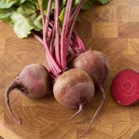 Lutz Green Leaf Red Stem, Beet Seeds